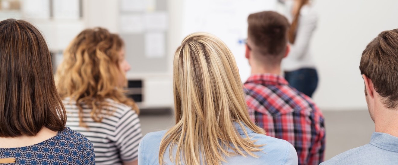 Rückenansicht mehrerer sitzender Personen, eine Person vorne bei Flipchart stehend