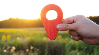 Wiese Landschaft Pin