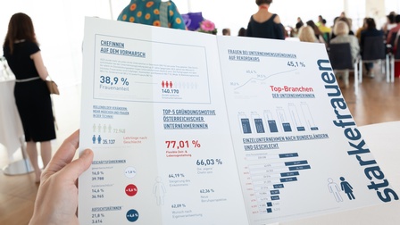 Factsheet FIW
