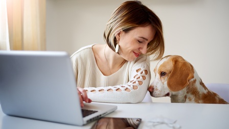 Person mit kurzen blond-braunen Haaren und Strickpullover sitzt an einem Schreibtisch mit Laptop und Tablett und blickt auf einen Hund herab, der neben ihr auf einem Stuhl sitzt