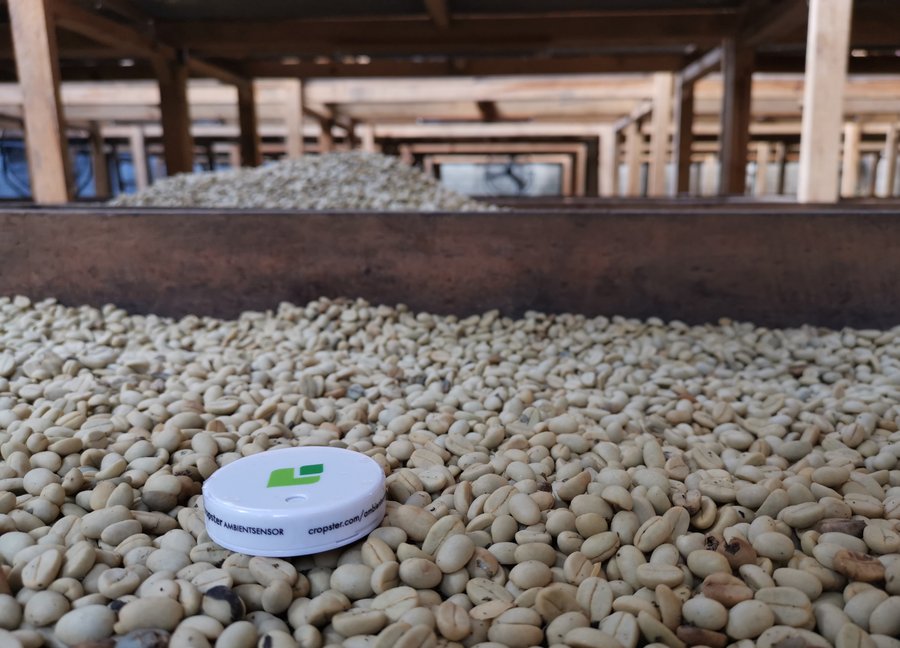 Cropster bietet nützliche Tools, welche die Prozesse entlang der gesamten Kaffee-Lieferkette optimieren.